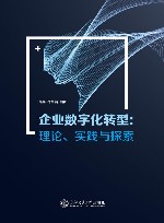 企业数字化转型  理论实践与探索