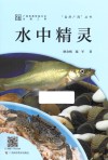 水中精灵封面