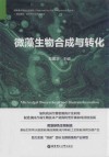 微藻生物合成与转化