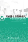 泥炭基垃圾焚烧烟气净化活性炭的定向制备 封面