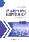 燃煤烟气汞的检测与脱除技术 封面