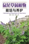 鼠尾草属植物栽培与养护