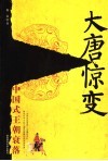 大唐惊变  中国式王朝衰落