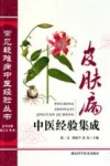 皮肤病中医经验集成封面