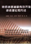 特低渗透油藏有效开发渗流理论和方法