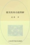 健美肌肉功能图解