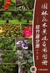 园林花木景观应用图册  棕竹藤分册封面