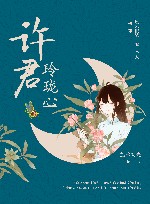 许君玲珑心 电子书封面