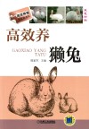高效养獭兔  高效养殖致富直通车