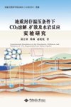 地质封存温压条件下CO2溶解、扩散及水岩反应实验研究