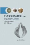 广西常见化石图鉴  下封面