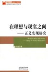 在理想与现实之间  正义实现研究