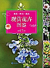 观赏花卉图鉴封面