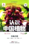 认识中国植物  华南分册封面