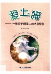 爱上猫