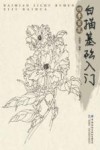 白描基础入门  四季百花