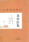 上海浦东新区名中医集