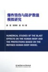 基于人体精细模型的爆炸毁伤及防护数值模拟研究