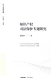 知识产权司法保护专题研究 封面