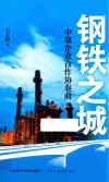 钢铁之城  中塞企业合作协奏曲 封面