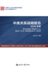 中美关系战略报告 2020年版