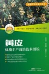 黄皮优质丰产栽培技术图说 封面