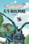 破解昆虫世界的秘密  天牛和红蚂蚁