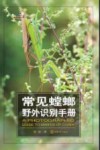 好奇心书系  野外识别手册  常见螳螂野外识别手册 封面