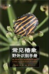 常见椿象野外识别手册