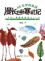 46亿岁的地球  漫长的前寒武纪 封面