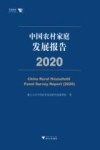 求是智库  中国农村家庭发展报告  2020