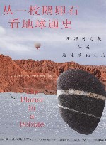 从一枚鹅卵石看地球通史封面