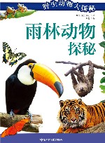 雨林动物探秘