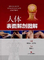 人体表面解剖图解