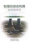 粉煤灰综合利用及风险评价封面