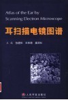 耳扫描电镜图谱