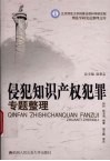 侵犯知识产权犯罪专题整理