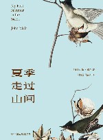 夏季走过山间 封面