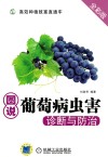 图说葡萄病虫害诊断与防治  全彩版 封面