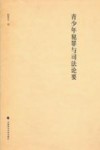 青少年犯罪与司法论要