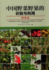 中国野菜野果的识别与利用  野果卷
