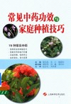 常见中药功效与家庭种植技巧封面