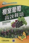 棚室葡萄 高效栽培封面