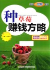 种草莓赚钱方略封面
