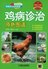 鸡病诊治原色图谱  疾病诊治原色图谱