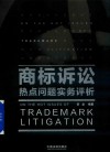 商标诉讼热点问题实务评析