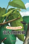 破解昆虫世界的秘密  萤火虫和螳螂
