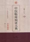 中医临床病证大典  心系病卷