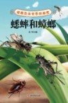 破解昆虫世界的秘密  蟋蟀和蟑螂
