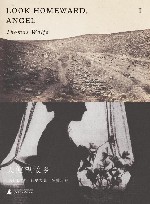 天使望故乡  2 封面